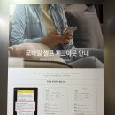 유로파크 | 평창 휘닉스파크 로얄 유로 빌라 40평 비추천 후기 온담 이용 후기