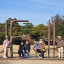 황제 디테일프로 | 70대 부모님과 제주여행 15인승 차량 대절이 정답이었던 이유