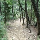대전둘레산길(9구간) 티스토리