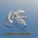 세라샤인 이미지