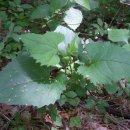 종합운동장역 3번출구 이미지