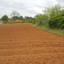 DS 태양광발전소 이미지