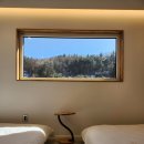 벽계수림 이미지