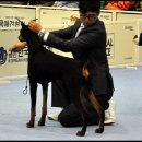 대구전시컨벤션센터 이미지