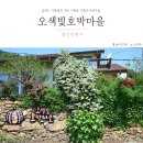 대청호 두메마을 | 대청호두메마을 오색빛호박마을 장미와 찔레꽃 담벽이 예쁜마을