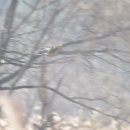 하천(갑천2) 이미지