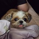 UR(의정부시)-[용민로]-상-92 | [일상] 25.3.24~4.1 일주일 일기 기록