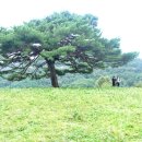 달무리목장 이미지