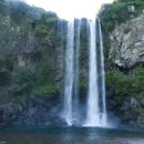 키즈맘스 이미지