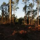 조형벤치(집) 이미지