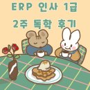 [ERP 인사 1급 2주 독학 합격 후기] 공부방법/기출문제 백데이터