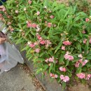 미리내성지로 이미지