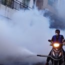 괴정1동-10 이미지