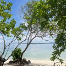 정세영농장 | 보홀 가족여행 일정 육상투어 시간 현지 보홀지킴이