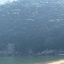 블루비치민박 이미지