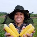 제주농부