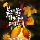 "'대부해솔길' 제5코스 걷기"＜2021.11.01(월)＞ 이미지