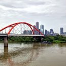 서초르네상스오피스텔 | 보이차 르네상스 읽기 포랑족의 보이차문화