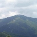 회신자동차공업사 이미지