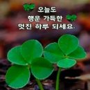 (주)태평양김천2공장-폐지 | 3월 6일 News Brifing