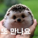 연세영훈치과교정과치과의원 이미지