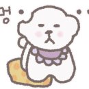 허니모모 애견미용실 이미지