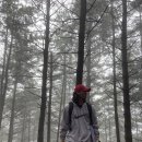 1988 피트니스 이미지