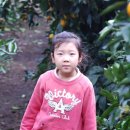 풍림농장 이미지