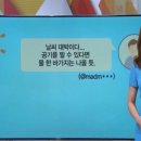 수포교 이미지