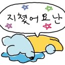모어핌
