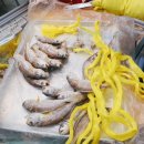 연희사러가 이미지