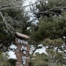 천주호마트