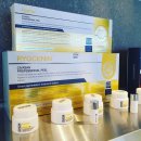 골드피그 이미지