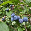 우석농장 이미지