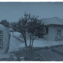 순천-81호 이미지