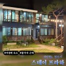 데이지 스테이 | 경주 가성비 숙소 스테이프라하 내돈내산 후기 | 개별 바베큐 가능한 곳