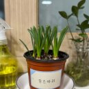 디자인스튜디오도감