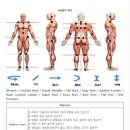 헬스엔젤스필라테스평생교육원