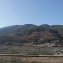 릿지828