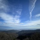 그린제일목장 이미지