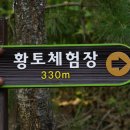 건강해봄 이미지