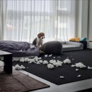 심쿵간식 이미지