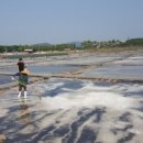 갯골안2 이미지