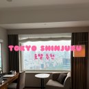 호텔 추천 :: 오다큐 센츄리 서던 타워 호텔 솔직 후기, 가성비 호텔 조식 룸컨디션 야경전망 공항 한번에