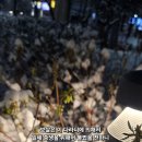 다라니