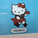 (공연) 2023 스테이지 in 세종 <5 COLORS 풍류 in 세종> | 20240802-04 펜타포트 락페스티벌 후기 (aka. 과도한 락놀이)