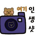 목련나무집 이미지