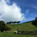 농업회사법인 (주) 대관령 이미지