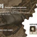 홈플러스(주)울산동구점 이미지