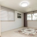 로뎀트리 이미지